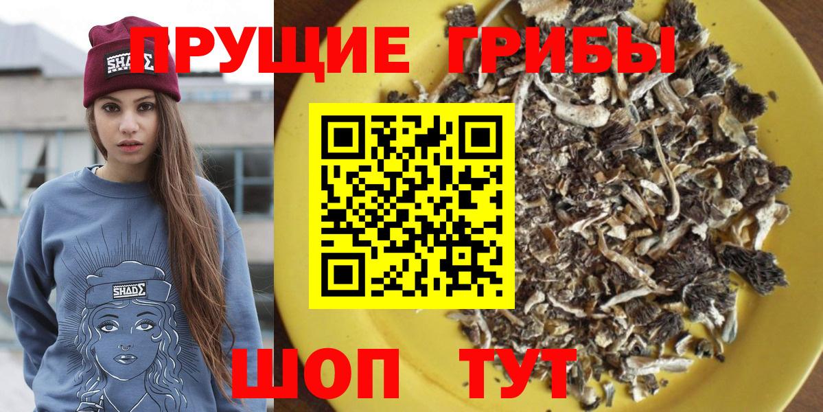 Галлюциногенные грибы Magic Shrooms Ярцево
