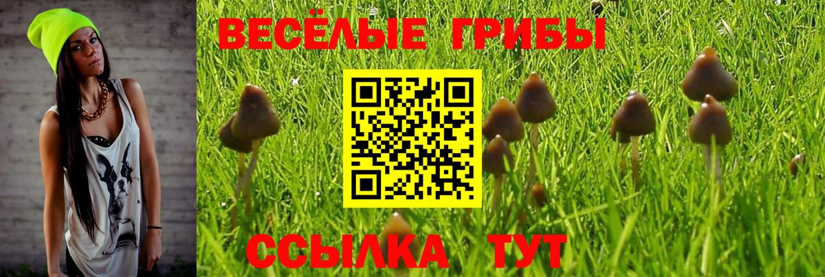 Ярцево  Галлюциногенные грибы Cubensis  Вход с VPN  Галлюциногенные грибы Psilocybe 
